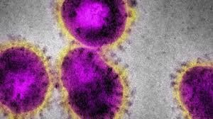 Immagine Coronavirus, task force regionale. I due cinesi ricoverati a Roma sono passati da Firenze